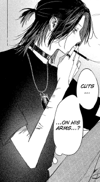 rhs-666-panel