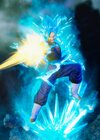 ssgss-vegito-05