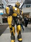 resized_img_8178