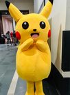 resized_img_1462