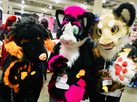resized_img_1488