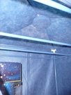 ccee008