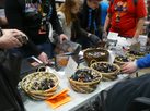 ccee019