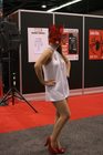 wccp13