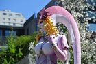 cosdtwo011