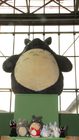 ghibli_0844