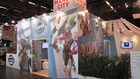 kaze_0836