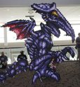 img_1202