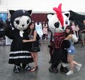 img_1235