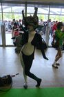 dsc07320