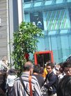 img_0972