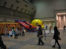 gallery11