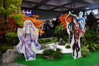 dsc07181