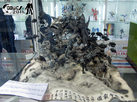 china_open