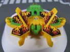 starfrog11