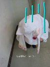 kyubey-2