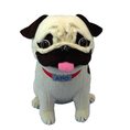 pug2