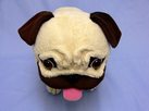 pug5