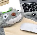 totoro-3