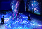 center-tree-night