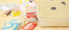 news_large_pouch10