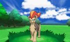 pyroar-female-version-official-screenshot-1.bmp