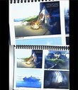 falcom-stream-art_01-25_001