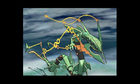 oct_p04_02