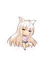 ch_coc_img_02.png