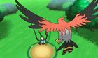 talonflame-screenshot-2