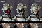 raiden_w_caption_gecco_04
