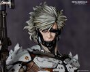 raiden_w_closeup_gecco_01
