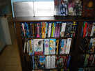 dvd-shelves-3-