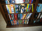 dvd-shelves-4-