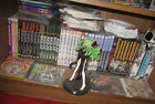 shelf11