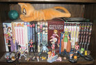 shelf4