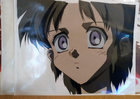 cel2