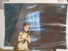 cel8