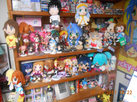 dscn5113