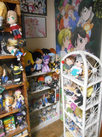 dscn5114