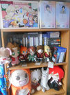 dscn5121