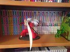 shelf8