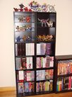 bsp-dvd-shelves-01