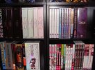 bsp-dvd-shelves-03