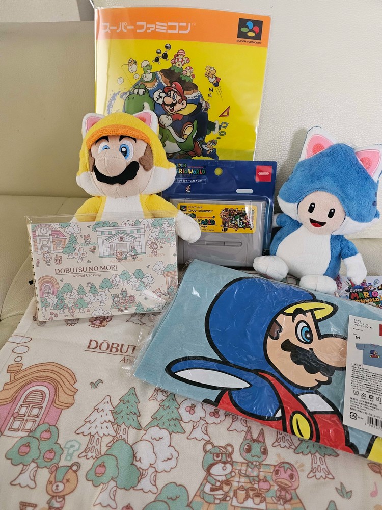 nintendohaul