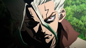 drstone7