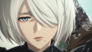 nier-ver1.1a.png