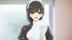 msservant-towels.png