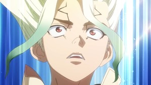 drstone61
