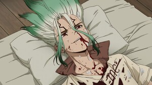 drstone66